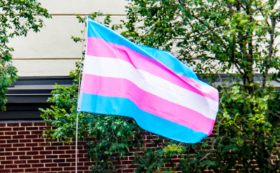 Transperson flagga