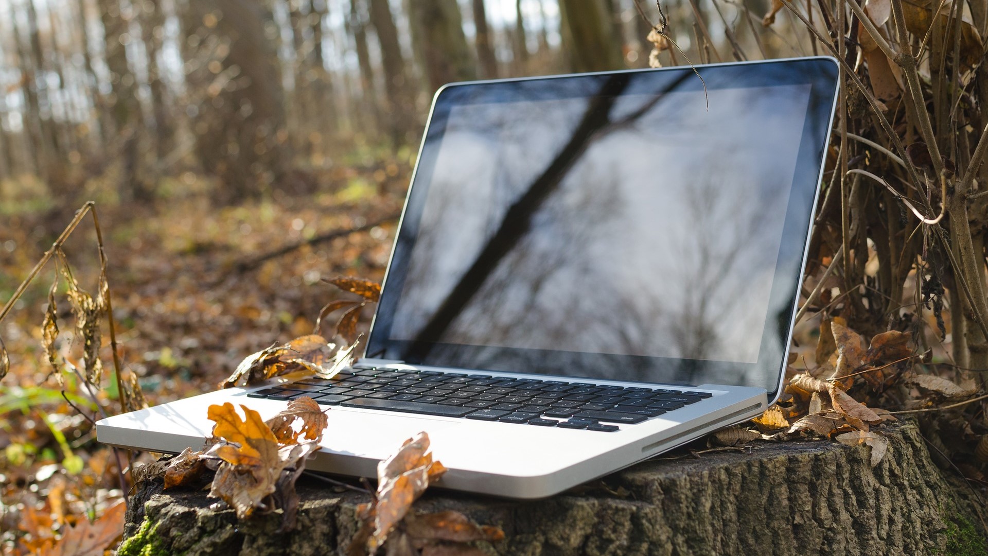 Fritt Wi-Fi för alla i Kungälv, Ytterby, Kode, Diseröd, Marstrand och Kärna