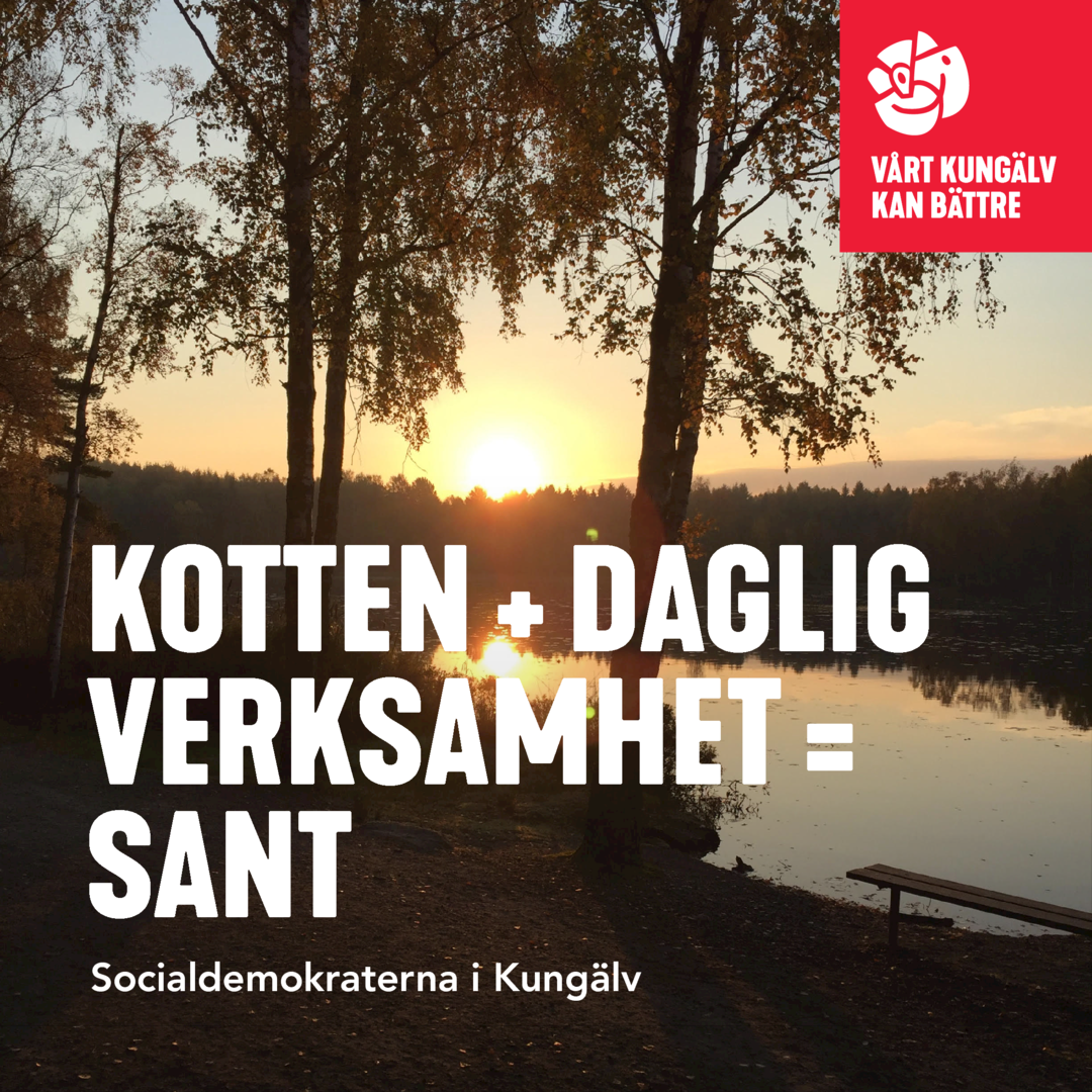 Kotten öppnar med Daglig Verksamhet